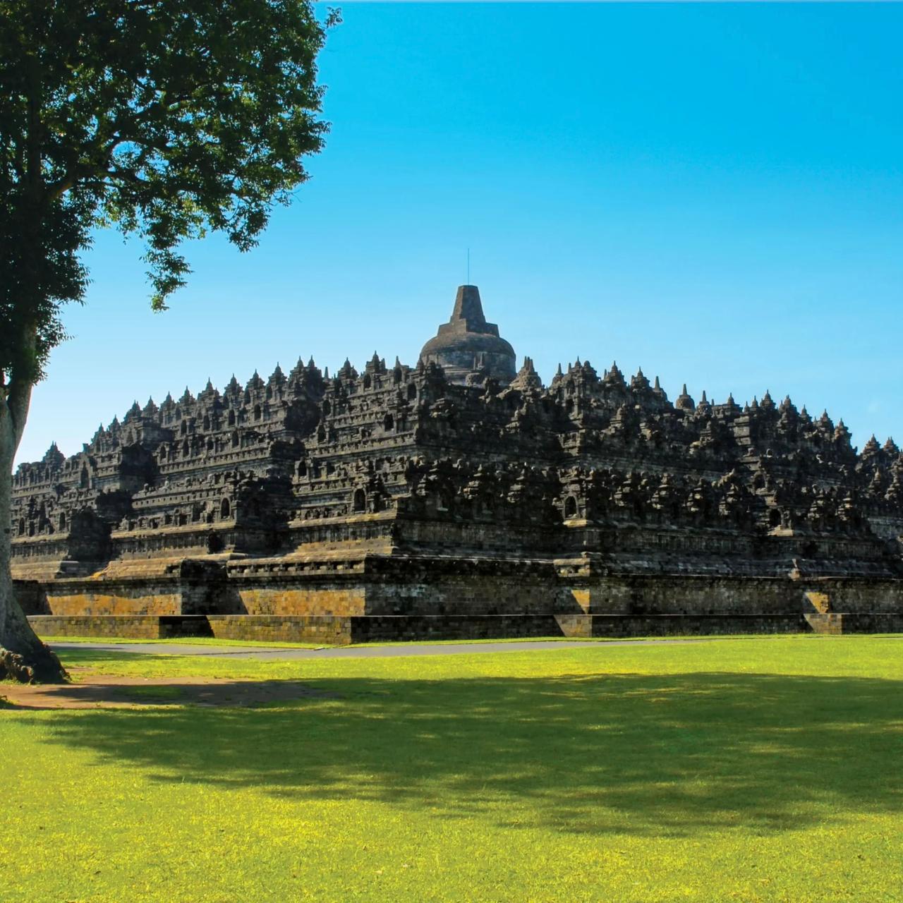 HOME 393c8ede 1f52 4156 86d2 e8c3db975a8e