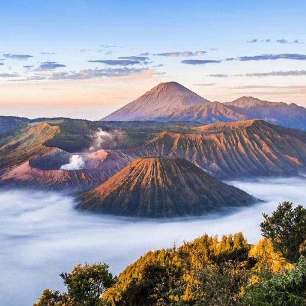 HOME 50a46ae4 6200 4c0c 9f03 507d3aa0d76a