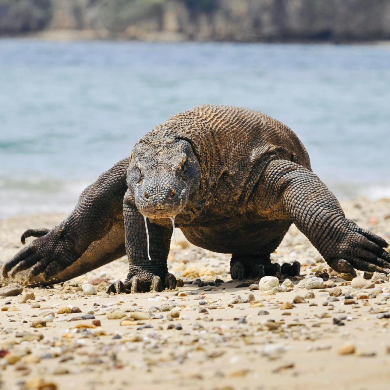 HOME b211cdd7 92cb 4f2d b808 f3ae7362a154