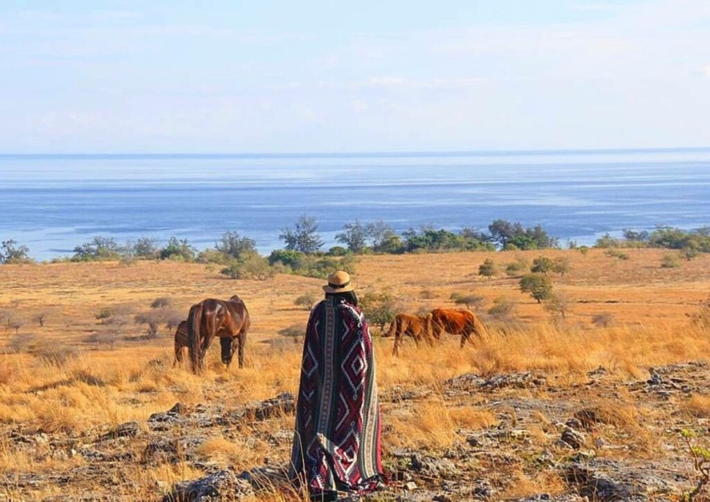 Bali - Sumba island ( 5D/4N ) desain tanpa judul 7 1 1024x724