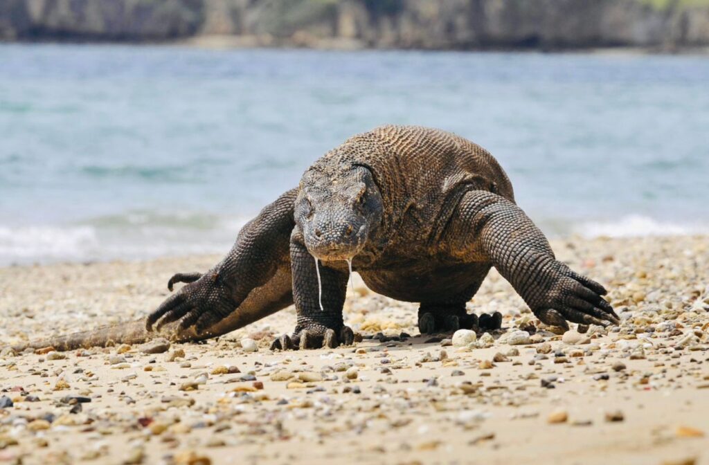 whatsapp image 2026 01 29 at 00.25.47