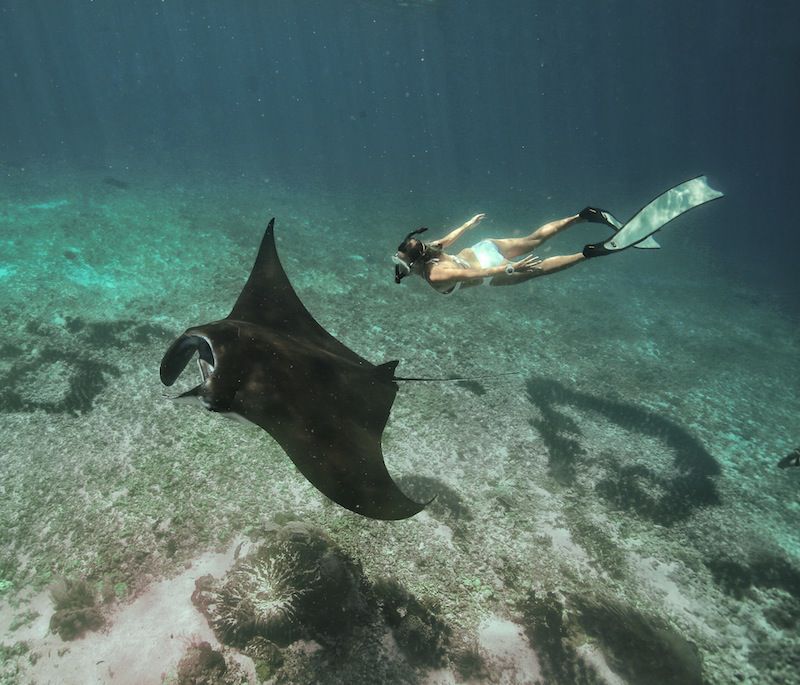 whatsapp image 2026 01 29 at 00.25.48